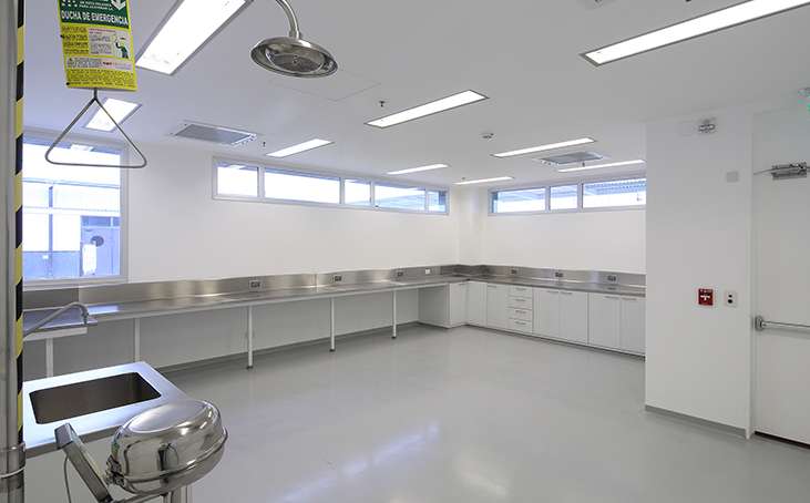 eccotec.com.ar